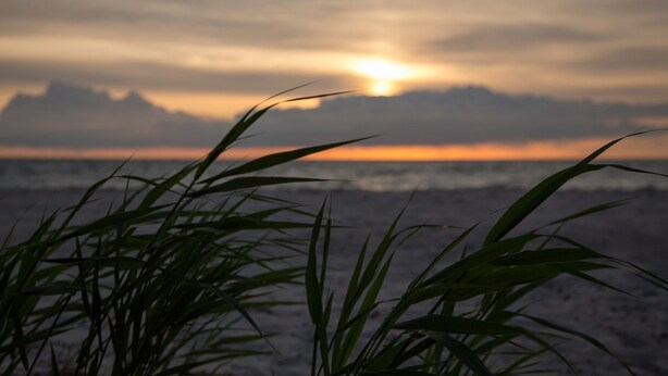 Eine Strandansicht mit Wellen und einem Sonnenuntergang im Hintergrund.