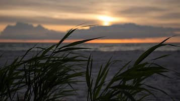 Ligstoelen aan het strand