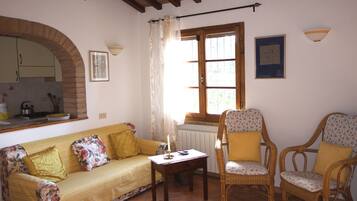 TV, caminetto, libri, impianto stereo