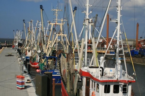 Fischereihafen fussläufig zu erreichen
