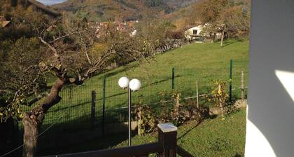Ferienhaus für 7 Personen, mit Grundstück von 3000 m², Frankreich (elsass)