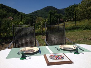 A table set for two with a view of a vineyard and hills in the background. - House for 7 people on a plot of 3000 m², France (Alsace) (Breitenbach)