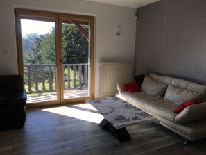 TV, DVD player, books, video library