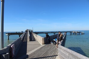 View from property - Exclusive apartment "Meerdüne" in direct beach location with balcony and sea view  (Heiligenhafen)