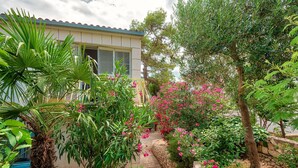A garden pathway leading to a house with a stone wall and potted plants. - Villa located directly at the sea (Klek)