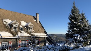 A building with a sloped roof, a chimney, and a snow-covered landscape with a large evergreen tree. - Large cozy apartment centrally in Winterberg with panoramic views (Winterberg)