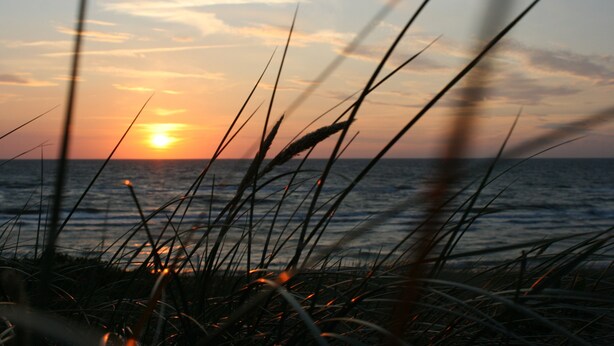 A sunset over the ocean with grass in the foreground. - House Family Trube FeWo2 (Heringsdorf)