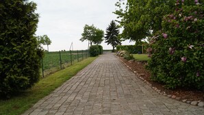 Un chemin pavé bordé de verdure et d’arbres.
