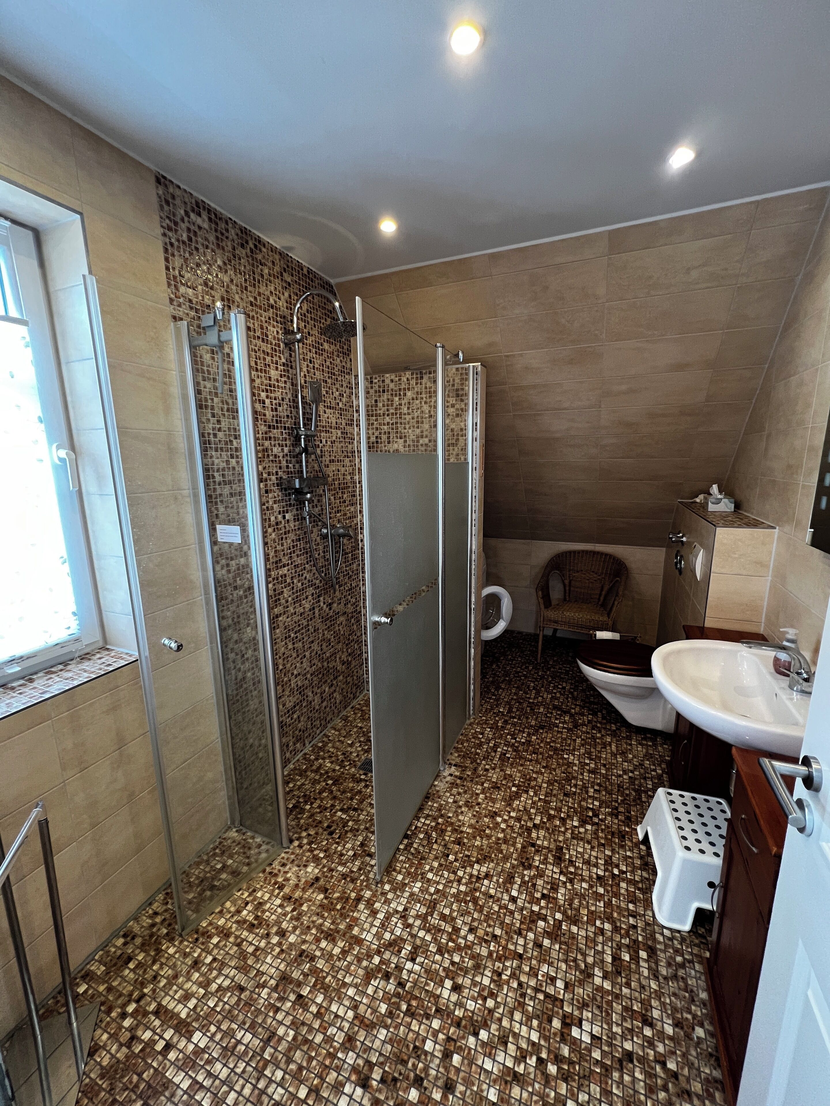 Un baño con ducha, inodoro y lavabo.