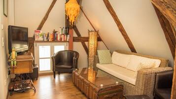 TV connectée, cheminée, livres, chaßne hi-fi