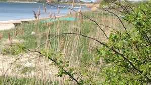 A lakeside view with a sandy beach, grassy areas, and reeds. - Quiet situated bungalow with a terrace overlooking the water and in nature (Garz/Rügen)