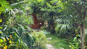 Un jardin luxuriant, avec une grande variété de plantes et une structure en bois.