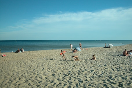 Beach. Enjoy the Mediterranean flair of the old town of Marseillan - South of France