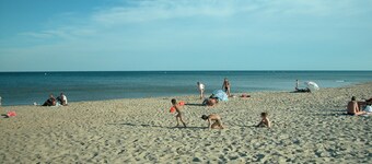 Enjoy the Mediterranean flair of the old town of Marseillan - South of France