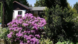 Una casa con fachada blanca y techo oscuro, rodeada de abundante follaje y un arbusto grande de flores moradas.