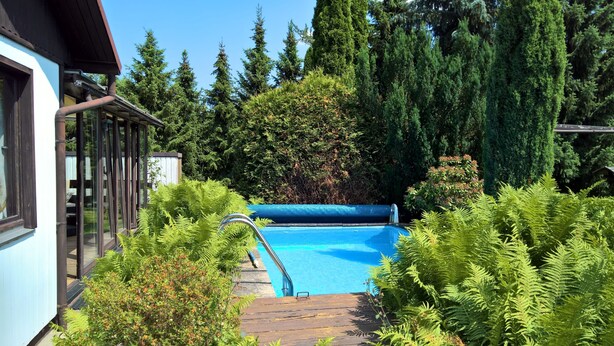 Una piscina rodeada de abundante vegetación y un edificio con ventanas amplias.