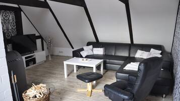 TV connectée, cheminée, lecteur de DVD, livres