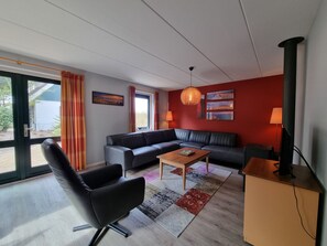 电视、壁炉、DVD 播放器、书