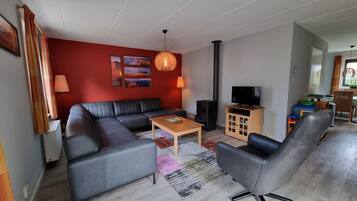 TV, fireplace, DVD player, books