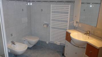 Shower, hair dryer, bidet, towels