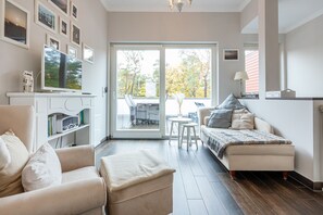 TV connectée, cheminée, livres, chaîne hi-fi