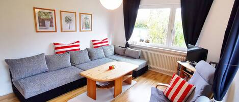 TV, DVD player, books, music library