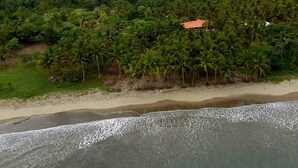 An aerial view of a coastal area with dense palm trees and a beach.