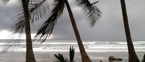 On the beach, sun loungers