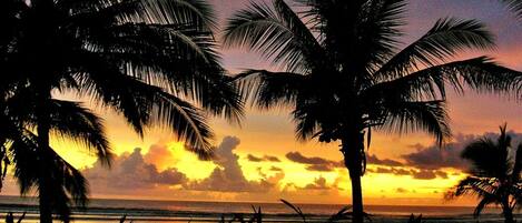 On the beach, sun-loungers