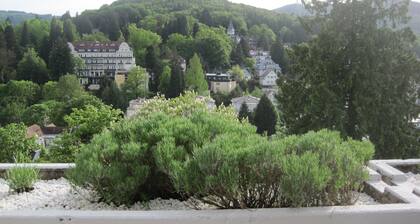 Apartment with large sun terrace and panoramic view near Festspielhaus
