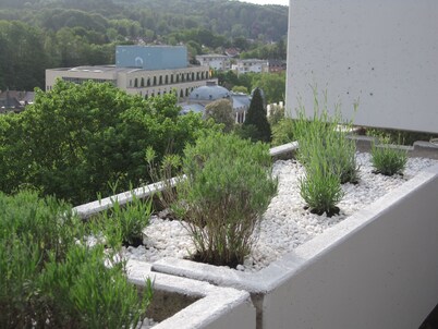 Apartment with large sun terrace and panoramic view near Festspielhaus