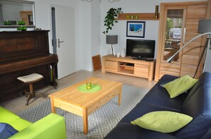 Télévision, cheminée, lecteur de DVD, livres