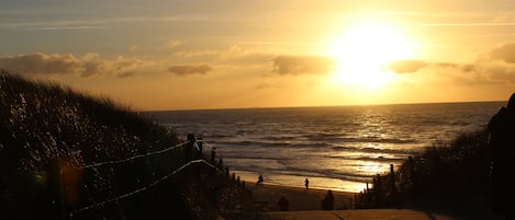 Vue sur la plage/l’océan