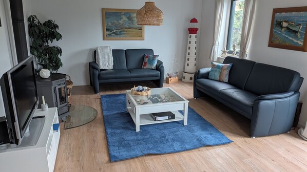 TV, fireplace, DVD player, books