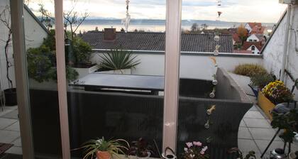 Spacious apartment with stunning views of Lake Constance and the mountains