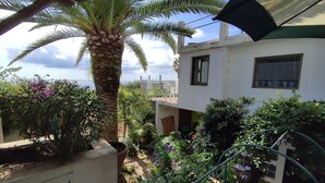 Un quartier résidentiel avec un bâtiment blanc, un palmier et diverses plantes.