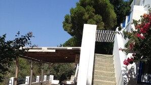 Ein überdachter Außenbereich mit einer Holz-Pergola, einer Steintreppe und einer weißen Wand mit roten Blumen.