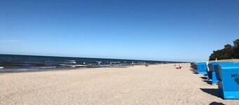 Very close to the sea and km-long sandy beach; bright and quiet on the edge of the forest, balcony