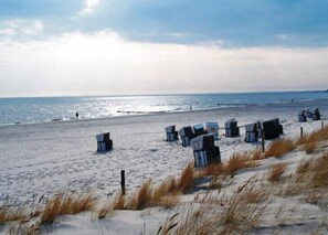 Une plage bordée de rangées de chaises de plage et de parasols, un rivage sablonneux et l’océan en toile de fond.