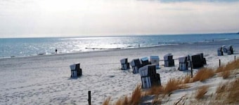 Très proche de la mer et des kilomètres de plage de sable; lumineux et calme en bordure de forêt