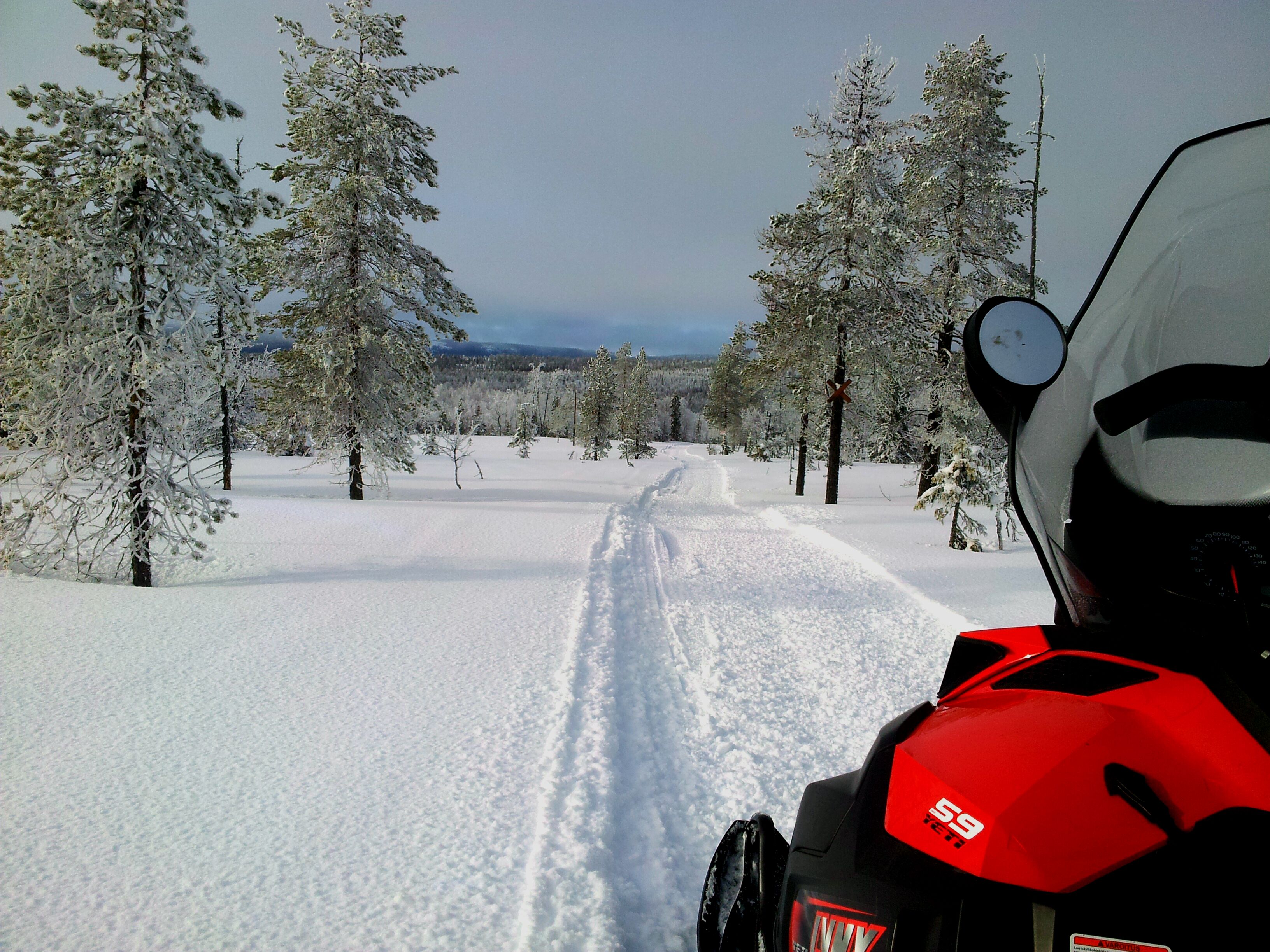 A snow-covered landscape with a clear path, surrounded by trees.