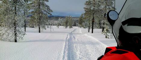 A snow-covered landscape with a clear path, surrounded by trees.