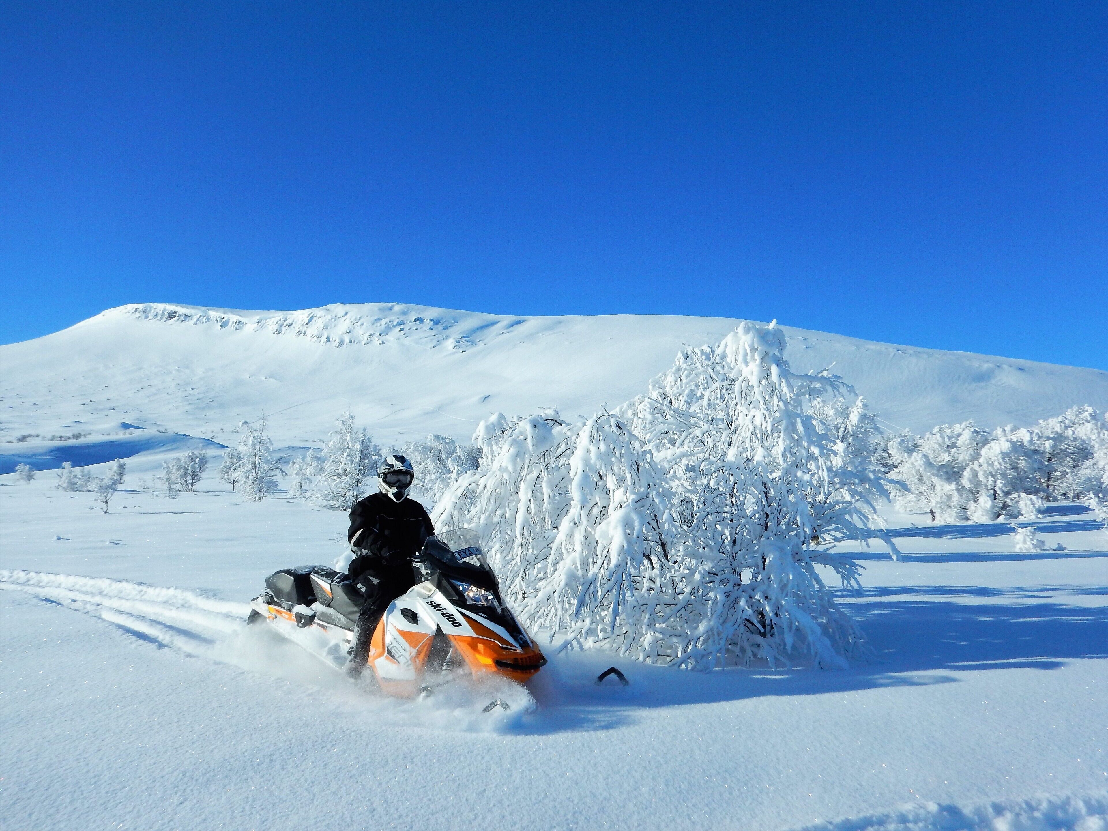 Snø- og skisport