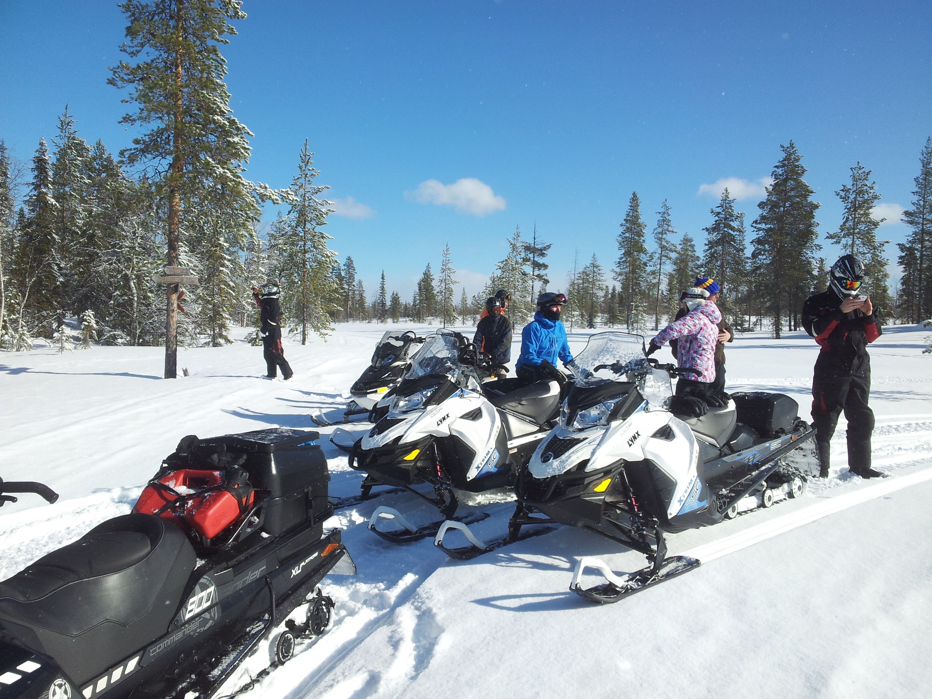A group of people around snowmobiles in a snowy forest.