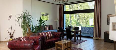 Smart TV, fireplace, books