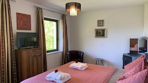 Une chambre à coucher avec un lit, une télévision, un bureau avec un miroir, une chaise et deux tableaux accrochés au mur.