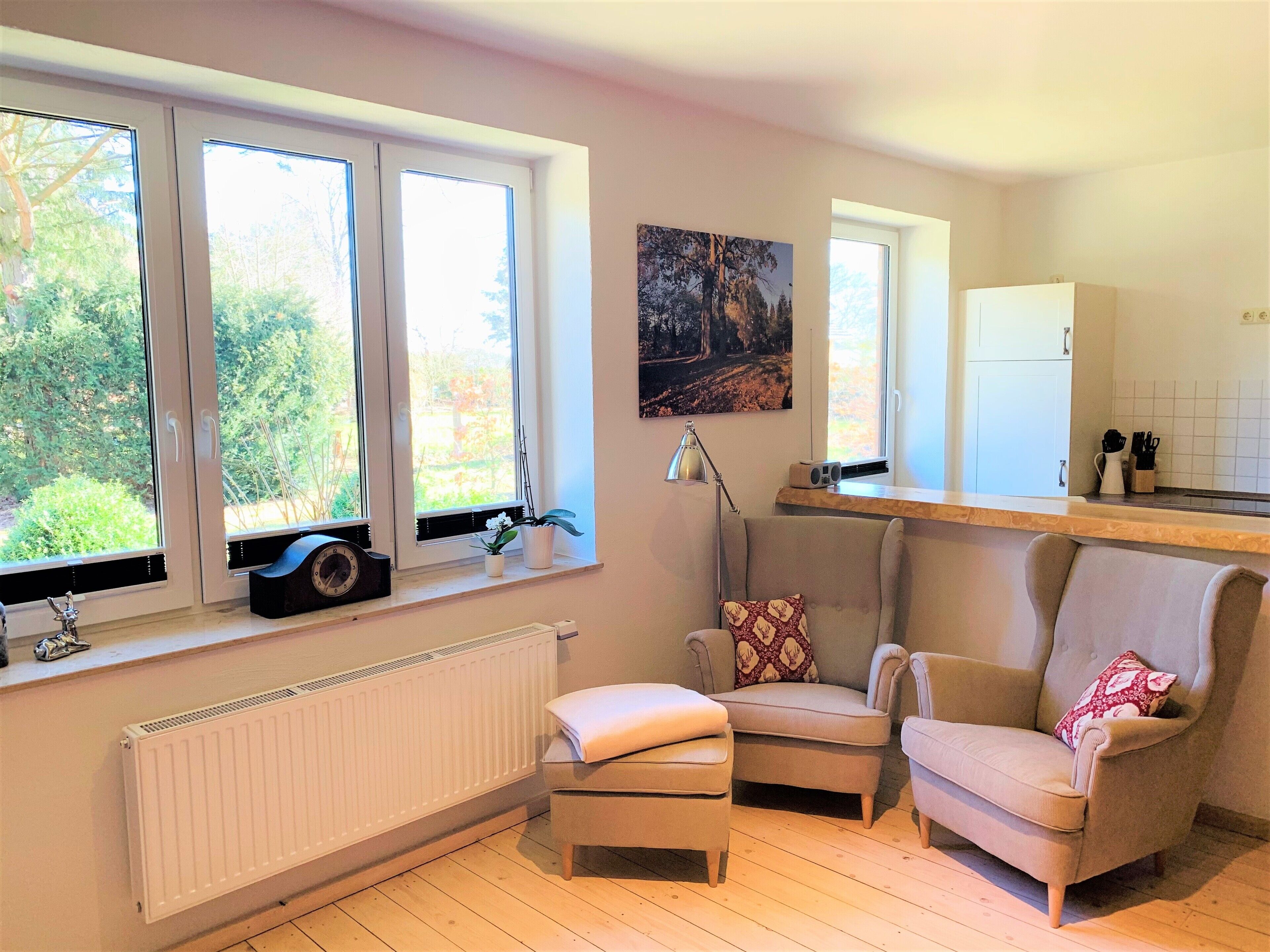 Fernseher, Kamin, Bücher