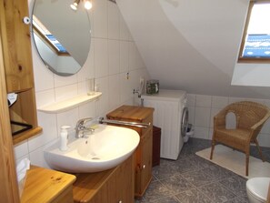 Shower, hair dryer