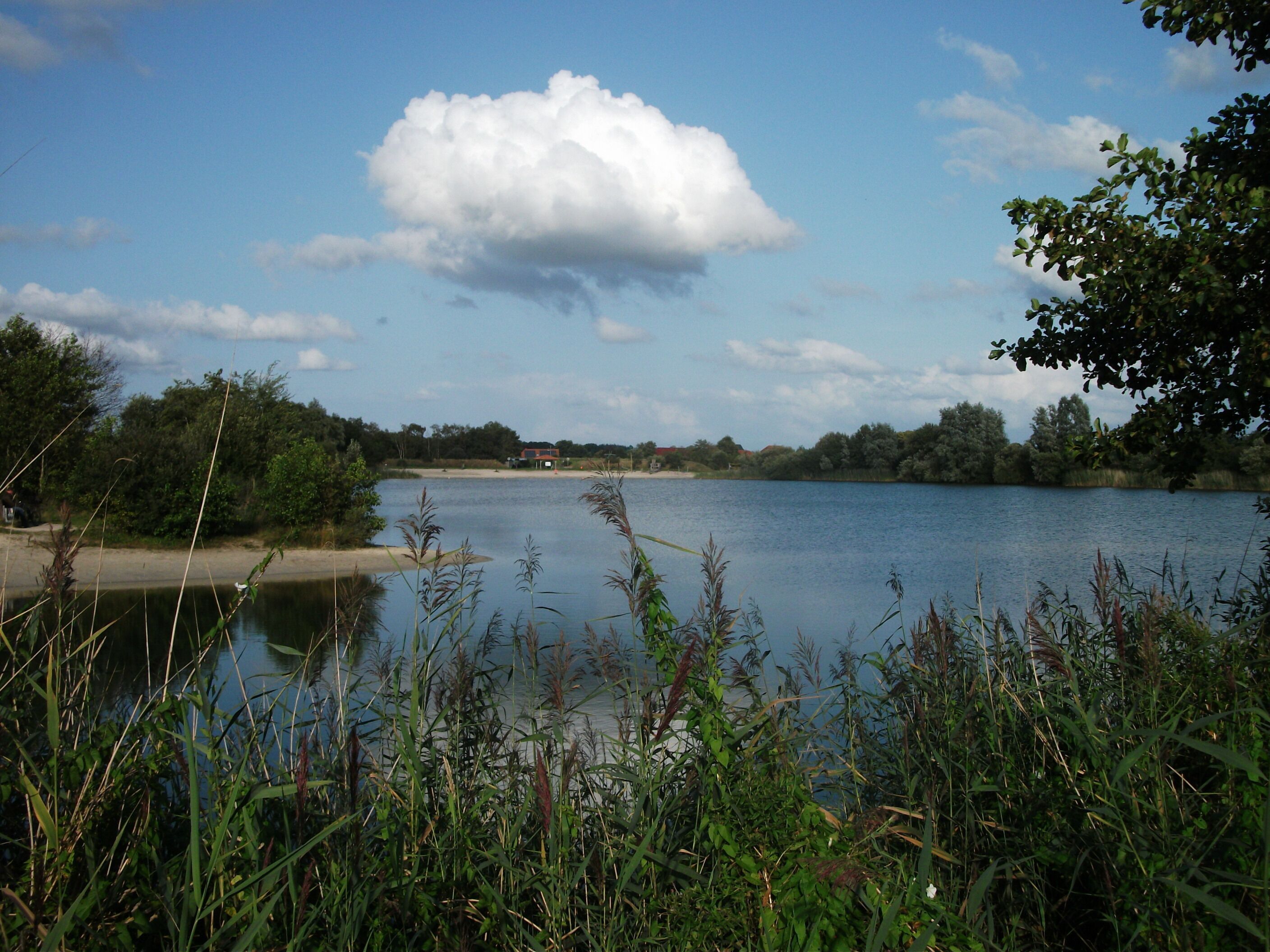 A calm lake with surrounding greenery and a clear sky.