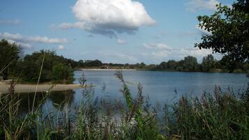 A calm lake with surrounding greenery and a clear sky.